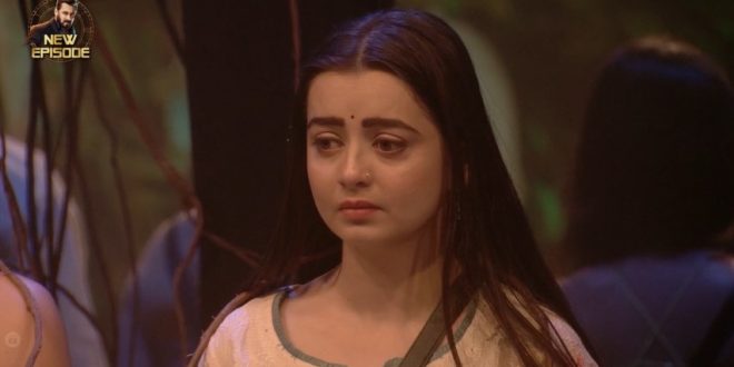 Bigg Boss 18 20th December 2024