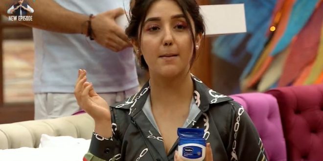 Bigg Boss 19 15th October 2025